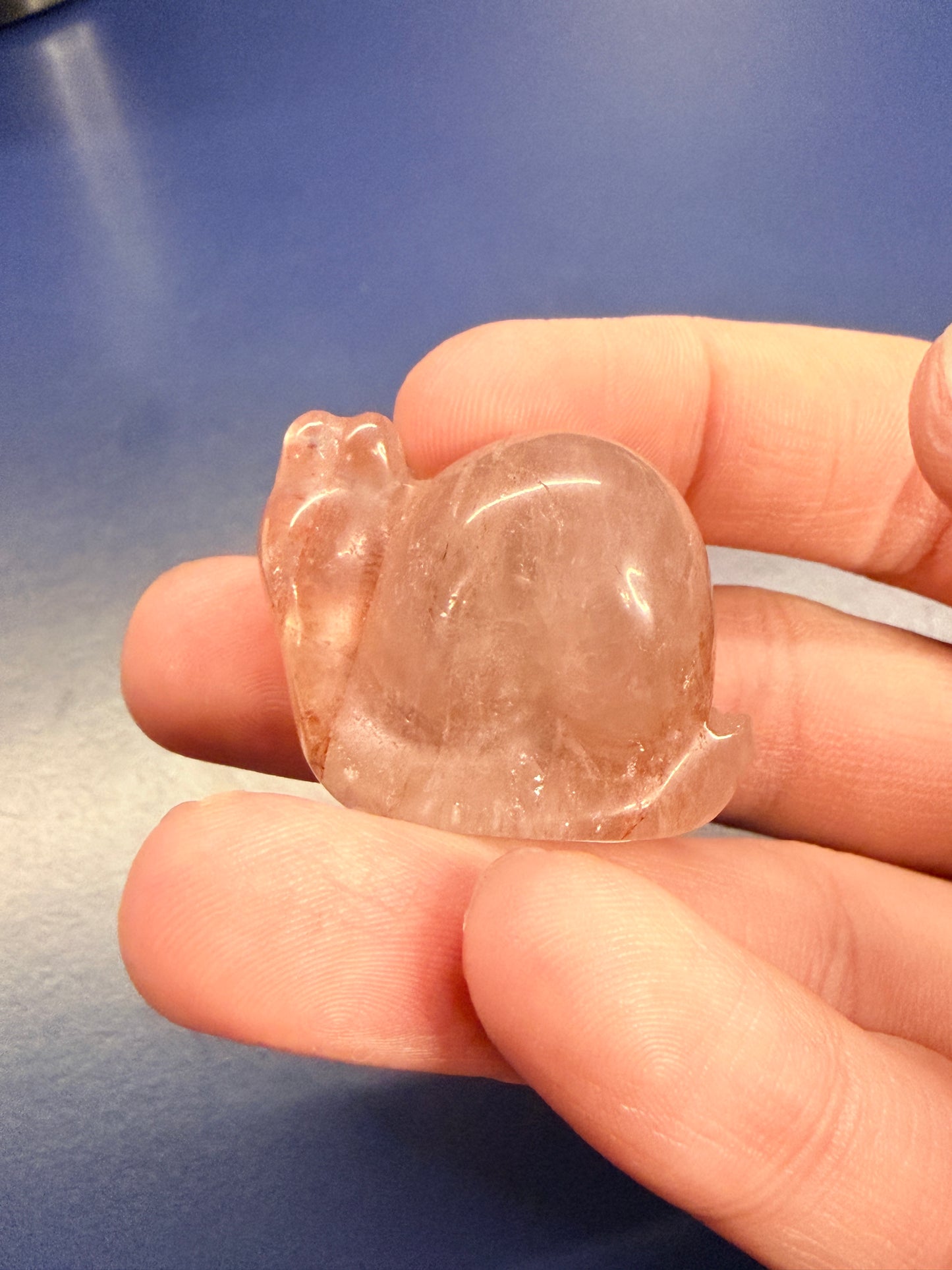 Hand holding a fire quartz snail crystal against a blue background