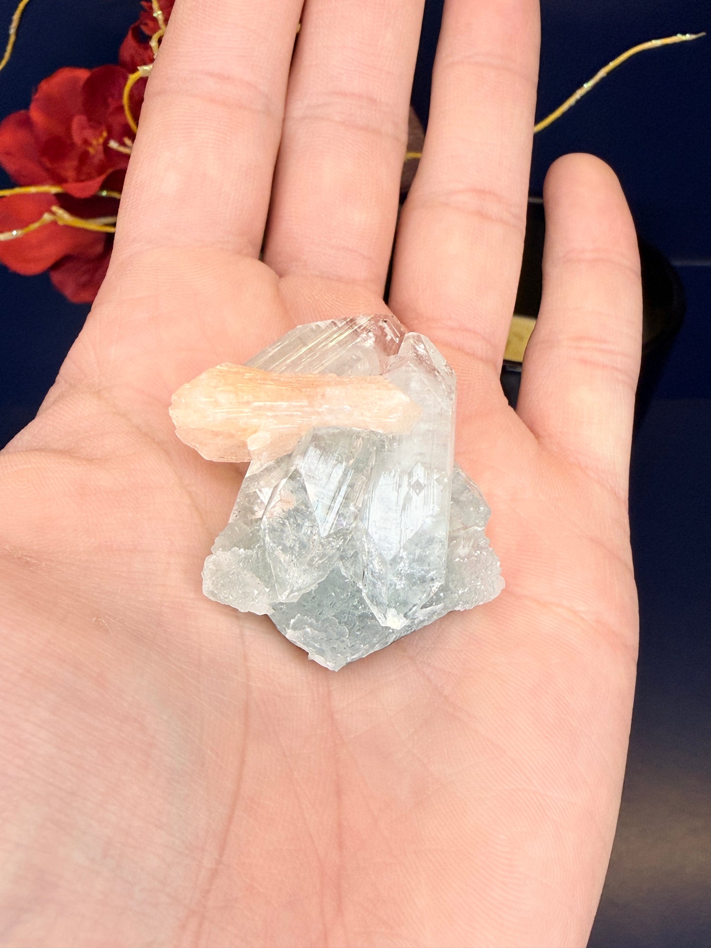 Hand holding a raw green apophylite with peach stillbite crystal in front of a red flower