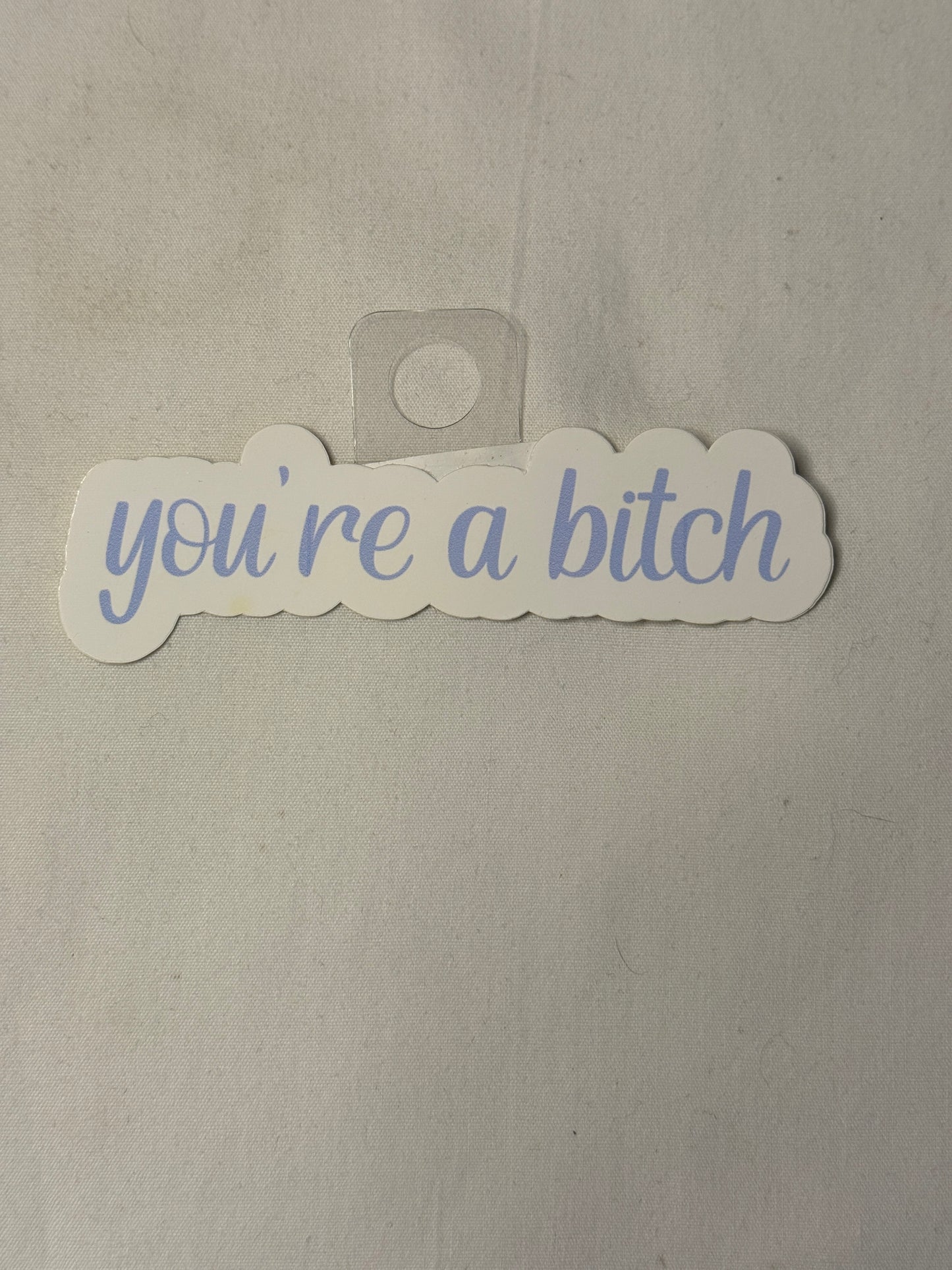 You're a B*tch Sticker