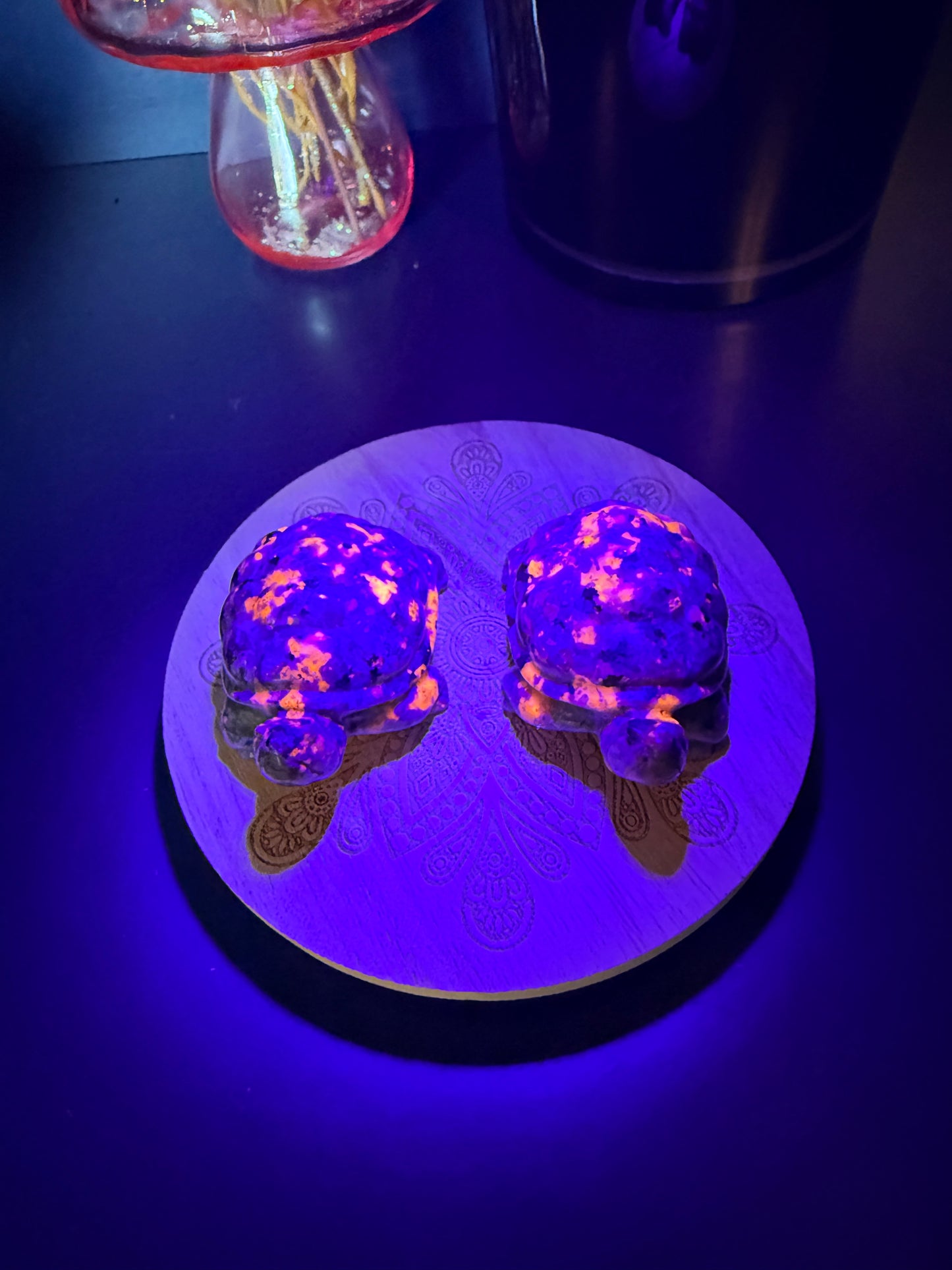 Yooperlite Turtles