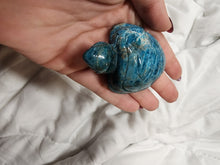 Load image into Gallery viewer, Blue Apatite Turtles
