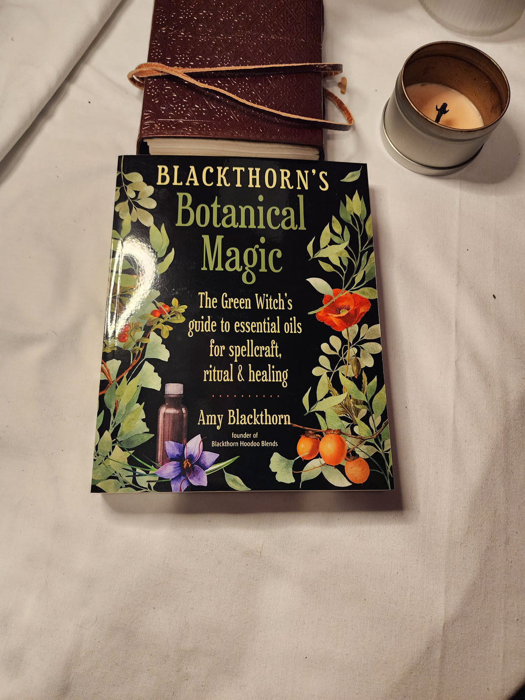 Blackthorn's Botanical Magic by Amy Blackthorn