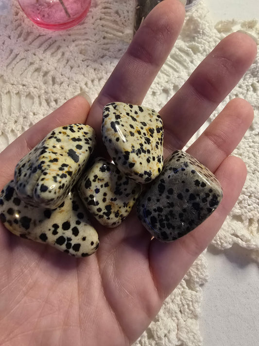 Dalmation Jasper Tumbles