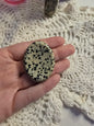 Dalmation Jasper Worrystone