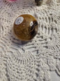 Septarian Palmstone