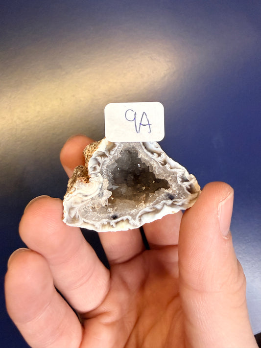 Hand holding an agate geode with a label against a blue background