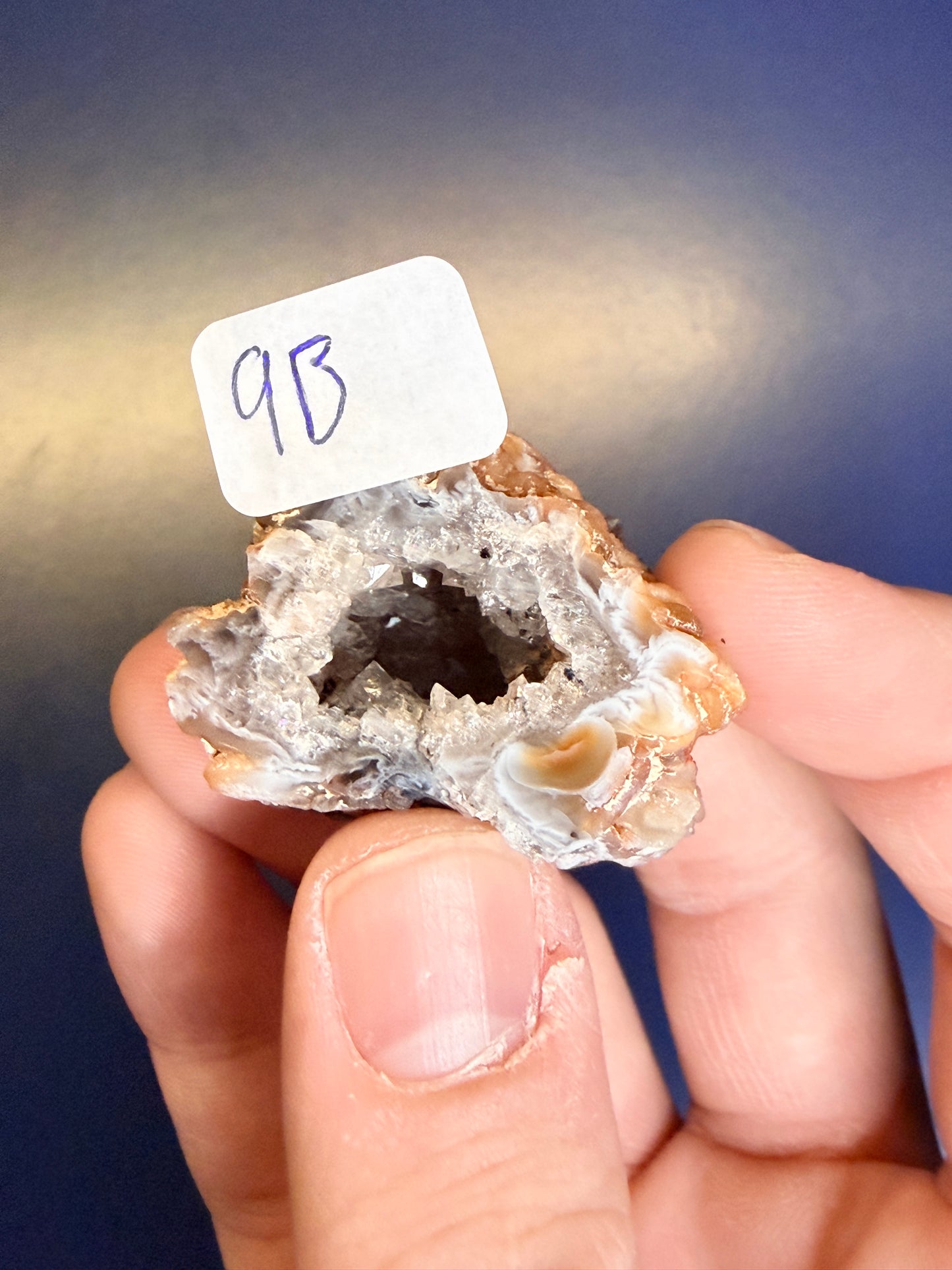 Hand holding an agate geode with a label against a blue background
