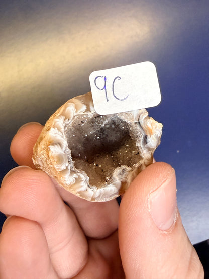 Hand holding an agate geode with a label against a blue background