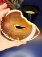 Hand holding an amber colored agate slice with a druzy in the middle in front of a red flower and black candle jar