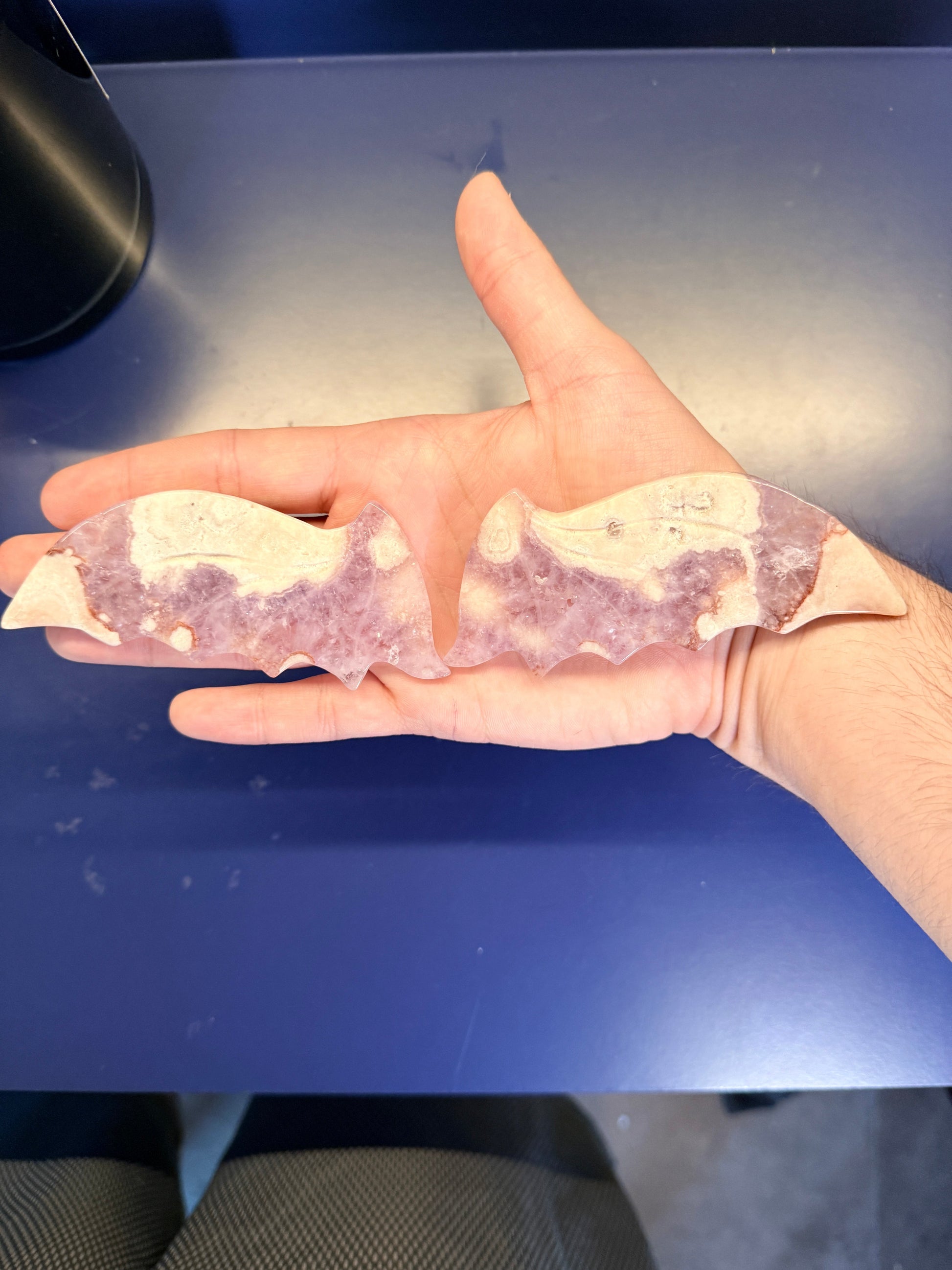 Hand holding two pink and purple dragon wings against a blue background