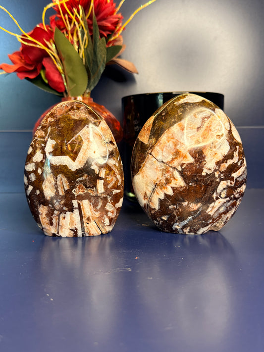 Two white and red breche agate freeforms in front of a red flower on a blue background