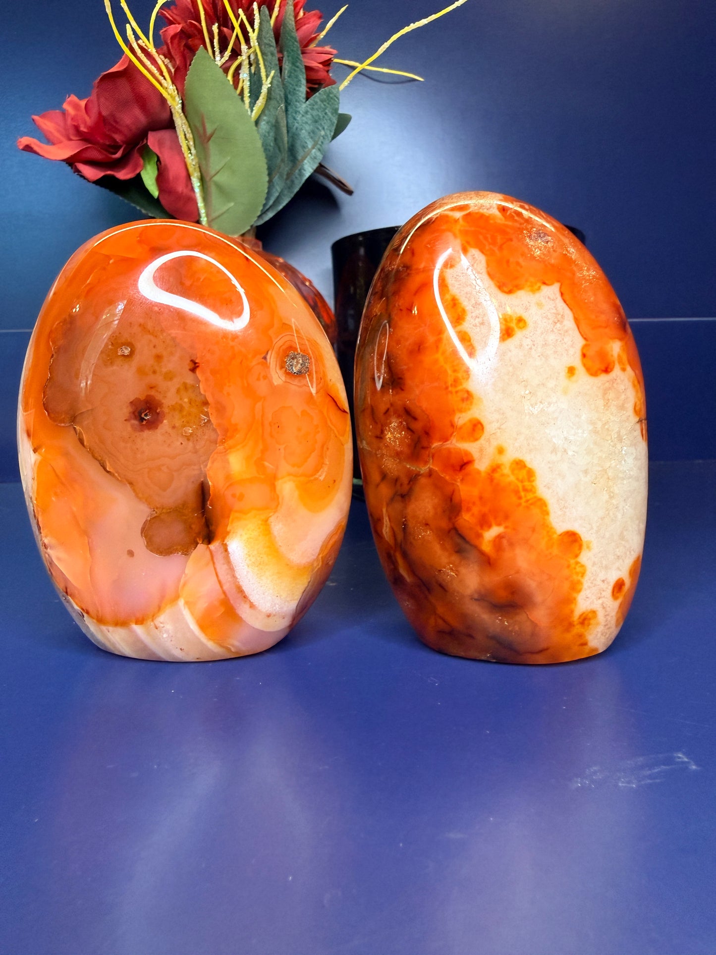 Two orange, red, and white marbled carnelian freeforms in front of a red flower on a blue background