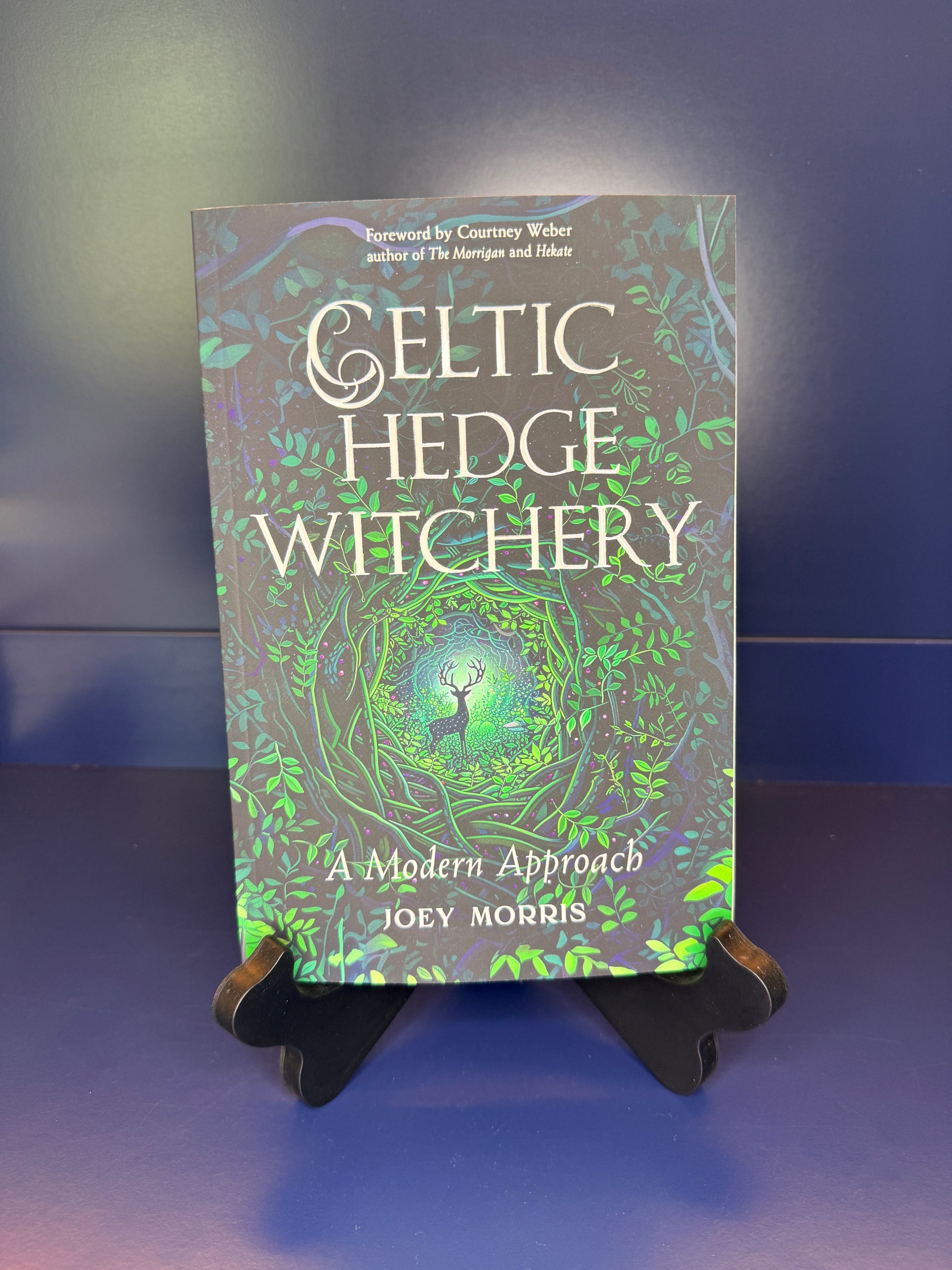 Book titled 'Celtic Hedge Witchery' by Joey Morris on a stand against a blue background
