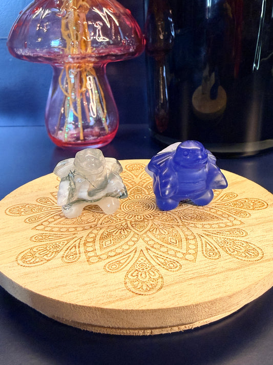 Three different crystal blastoise sitting on a decorative wooden coaster in front of a glass mushroom and black jar