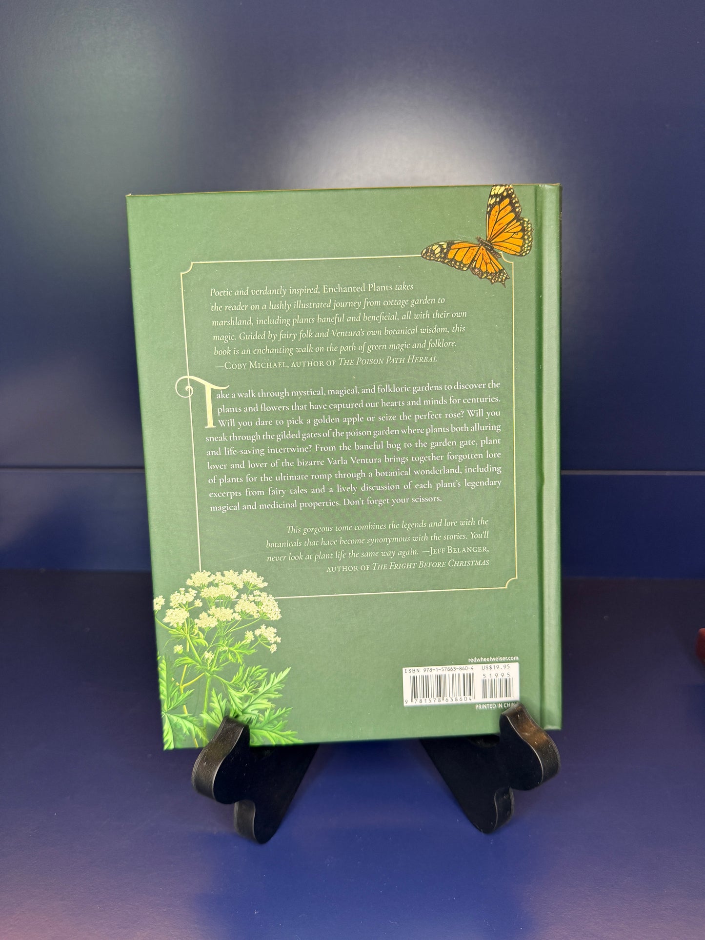 Green book with butterfly illustration on a blue background