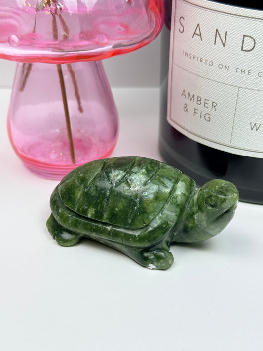 Serpentine Turtle