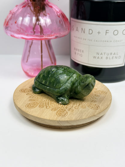 Serpentine Turtle