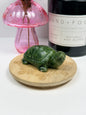 Serpentine Turtle