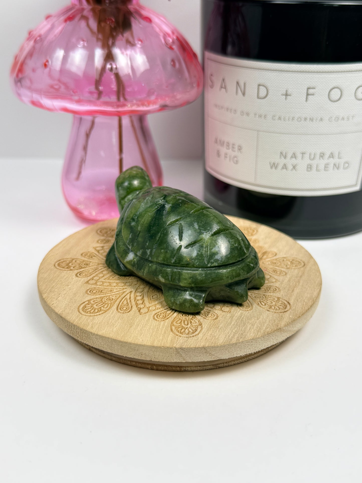 Serpentine Turtle