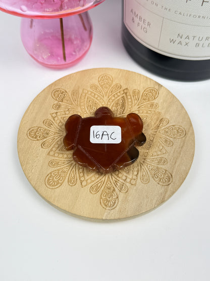 Carnelian Turtles