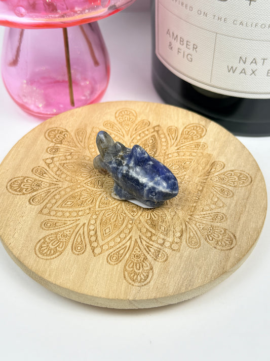 Sodalite Shark