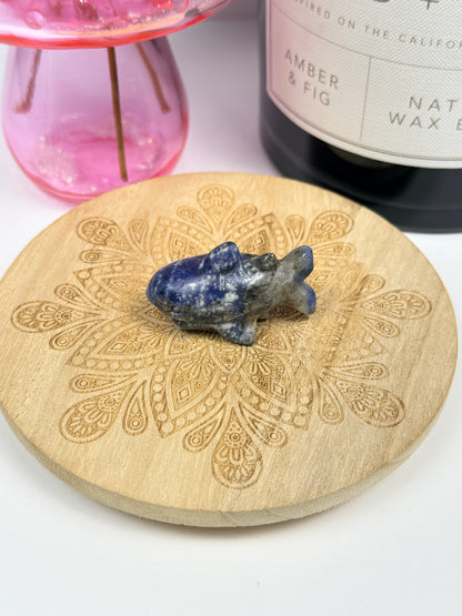 Sodalite Shark