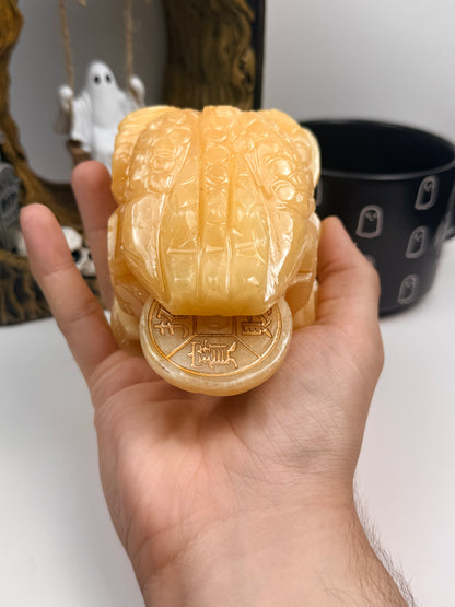 Orange Calcite Money Toad
