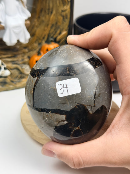 Septarian Black Geode Freeforms