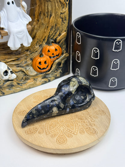 Large Que Sera Raven Skull Carving