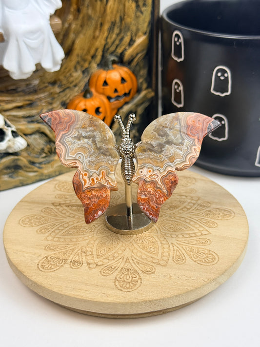 Crystal Butterfly Wings