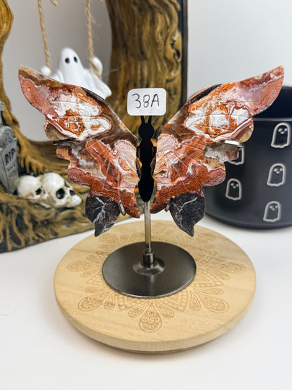 Mexican Agate Butterfly Wings