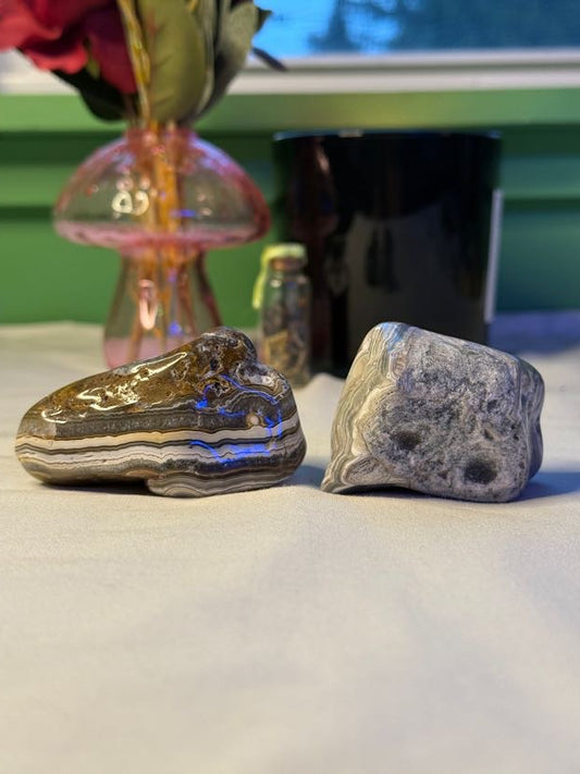 Crazy Lace Agate Freeforms