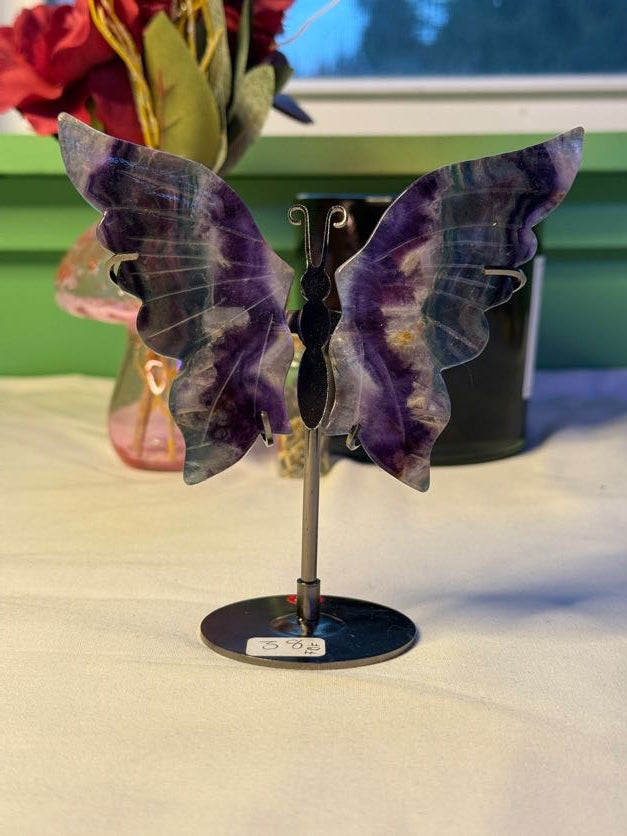 Large Fluorite Butterfly Wings with Stand