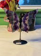 Large Fluorite Butterfly Wings with Stand