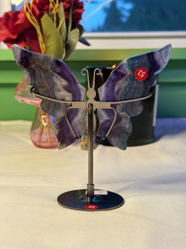 Large Fluorite Butterfly Wings with Stand