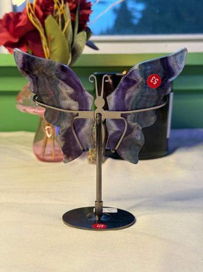 Large Fluorite Butterfly Wings with Stand