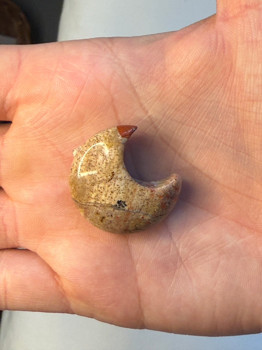 Money Agate (Indonesian Bloodstone) Moon