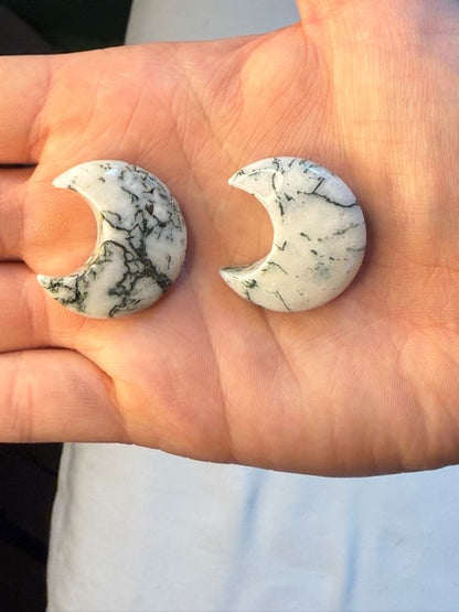 Tree Agate Moon