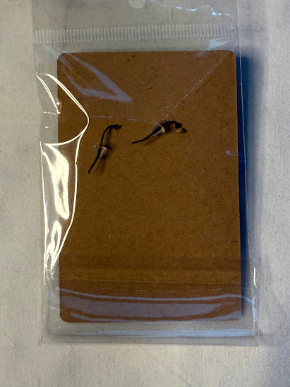 Clear Moon Charm Earrings