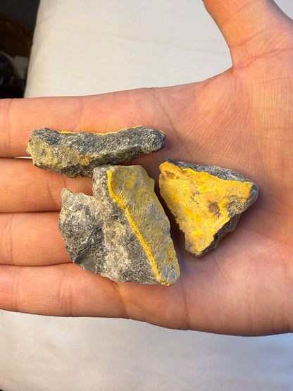 Bumblebee Jasper Raw