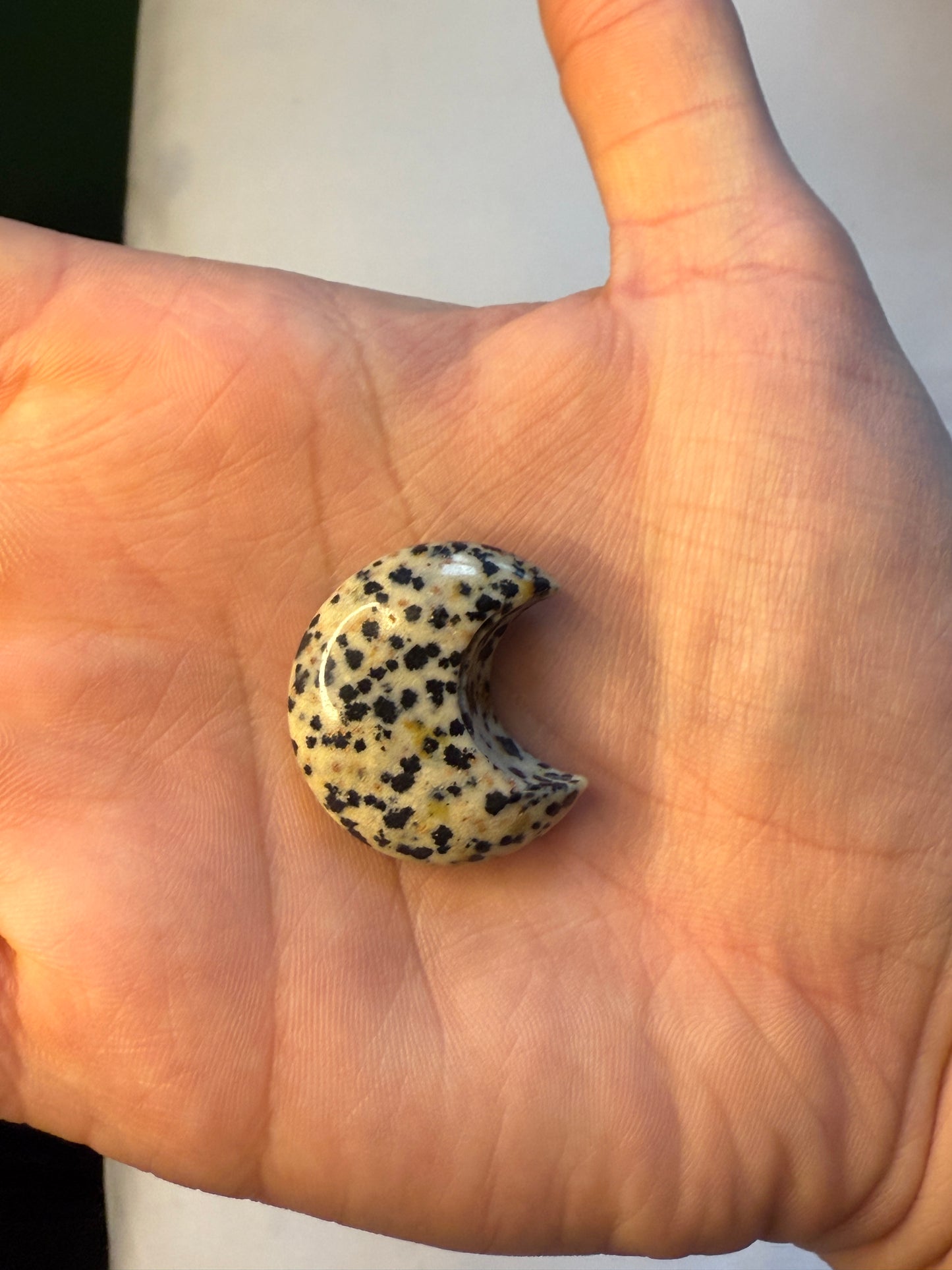 Dalmatian Jasper Moon