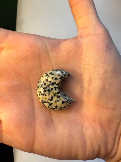 Dalmatian Jasper Moon