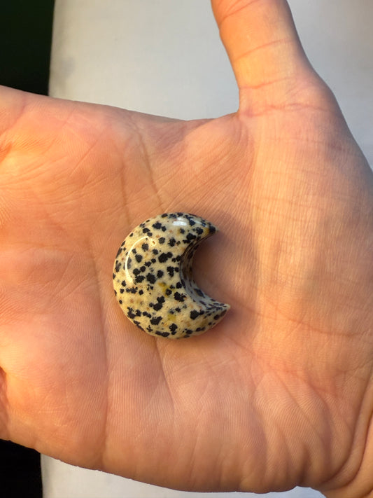 Dalmatian Jasper Moon
