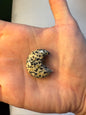 Dalmatian Jasper Moon