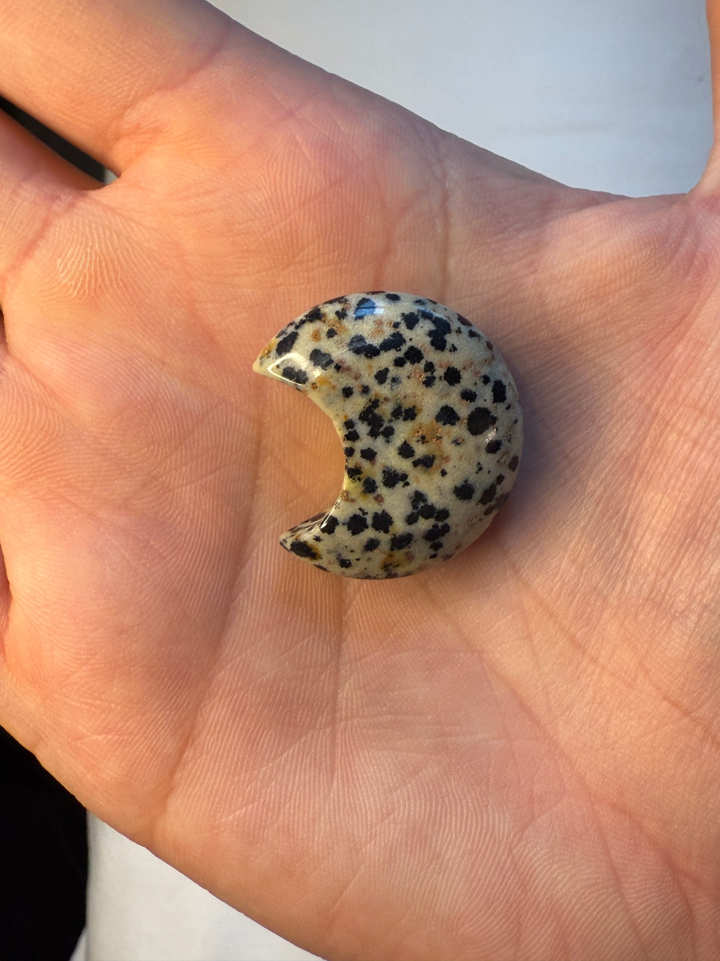 Dalmatian Jasper Moon
