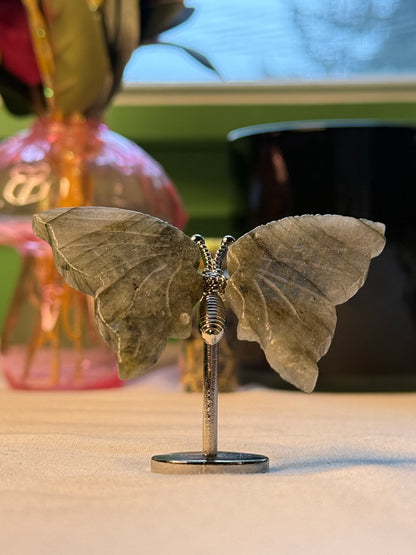 Small Labradorite Butterfly Wings
