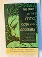 The Spirit of Celtic Gods and Goddesses by Carl McColman and Kathryn Hinds