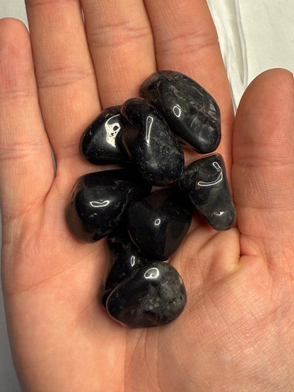 Black Onyx Tumbles