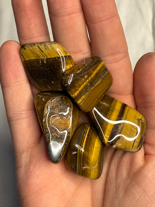 Tiger's Eye Tumbles