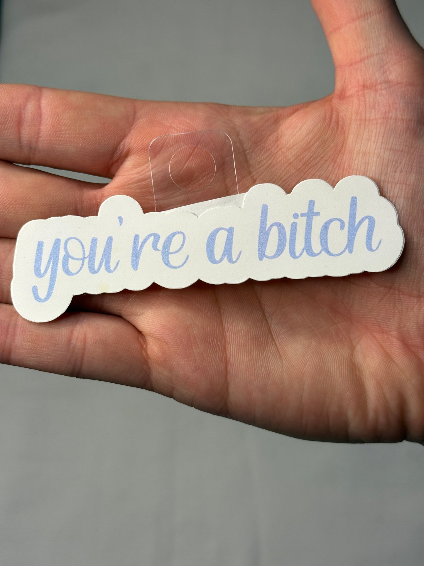You're a B*tch Sticker